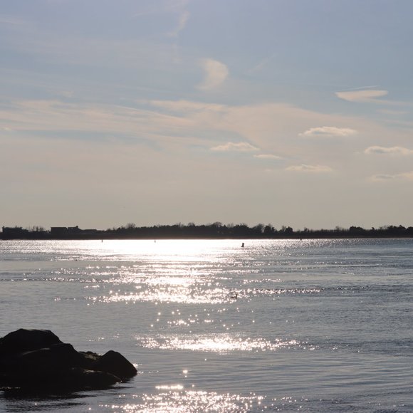 Meet your Posher, Cherice - Picture 4 of 10